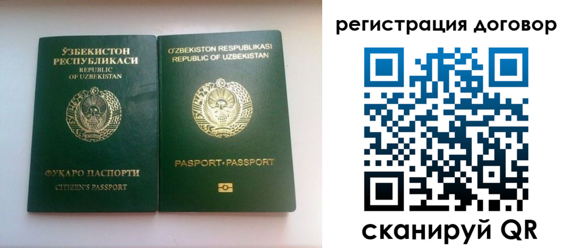 прописка в Луге