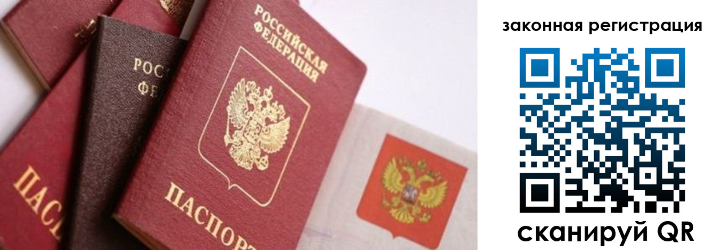 прописка штамп в Луге